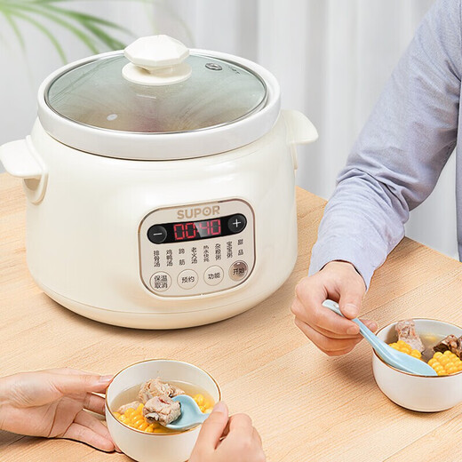 SUPOR ELECTRIC POT POT MAISON STANG ÉLECTRIQUE POT ORIGINAL MINDE PUPLE POT PORT INTERT
