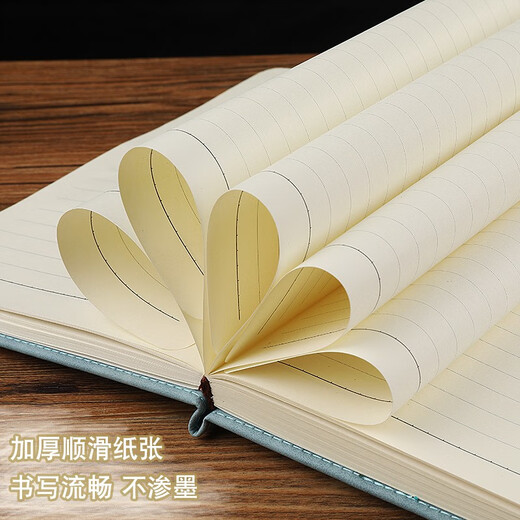 Jianxun Notebook Simple Coldening Leather Business Bontepad Work Conference Diory Conference Книга записей может быть настраивалась в подарочной коробке логотипа A5 Light Blue [одиночная версия]