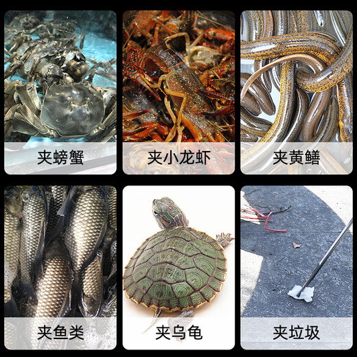 Zhenyou (Grsaed) eel clip stainless steel multi-functional non-slip loach clip crab clip 52cm straight head extended lobster claw to control fish