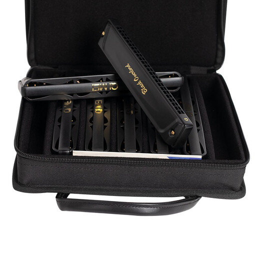 Qimei Mundharmonica 24-Loch-Professionaler professioneller Black Bull Mundharmonica importiert Gong Mundharmonica [Matte Black] 24-Loch-Polyphonica [D Tune]