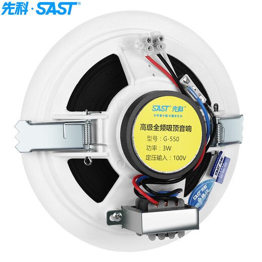 先科（SAST）SA-9002 吸顶音响套装定压功放机公共广播系统吊顶家用客厅会议背景喇叭组合音箱 一拖二