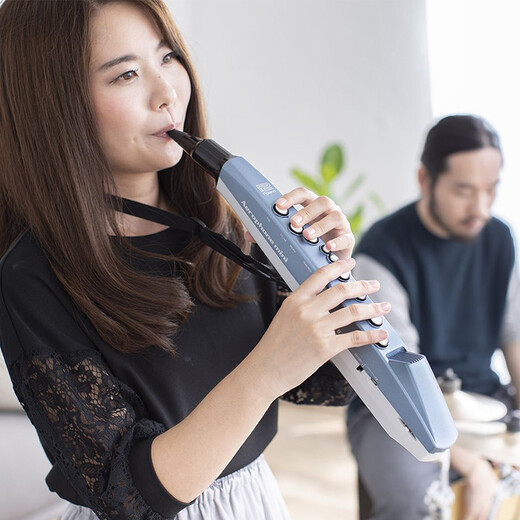 罗兰（Roland）ae01电吹管电萨克斯自带音源民族音色ae05c初学入门电子管乐 罗兰AE01标配+蓝牙音箱+礼包