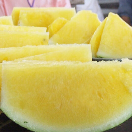 Dayu Te Xiaofeng watermelon seed seedlings are suitable for southern authentic old varieties with yellow skin, red flesh and yellow flesh, early maturing potted fruit seeds Ansheng Huangmeiren watermelon seeds 20 capsules