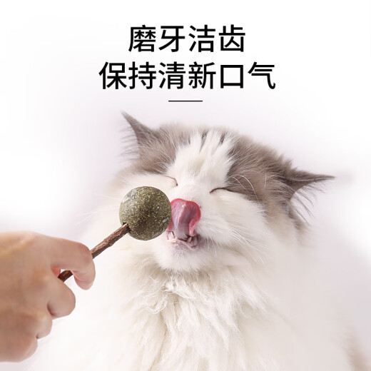Crazy Puppy Beauty Cat Toy Cat Mint Lollipop Cat Snacks Teeth Cleaning and Molar Stick Wood Tianli Cat Funny Cat Stick Cat Toy