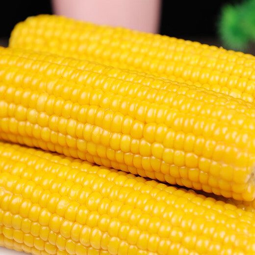 KEEP W-VILLAGE GO selects Northeastern corn, fresh, sweet and waxy vacuum-packed corn 10 sticks, healthy whole grain corn sticks, 5 black and 5 yellow, 10 sticks (single stick is more than 200g)