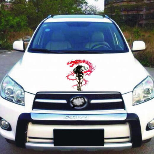 
He Jiagong wolf head stickers, personalized reflective decorative decorative decorative scratch stickers, body modification stickers, flame leopard head R829