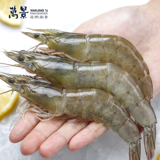 Wanjing North Seafood Frozen White Shrimp Domestic White Shrimp Single Frozen No Ice Net Weight 4Jin Jin is equal to 0.5kg 100-120 pieces Family Dinner