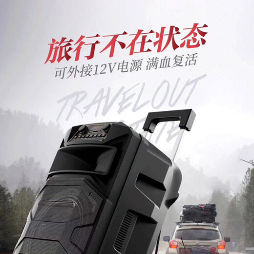 TEMEISHENG SL12-31Pro outdoor square dance karaoke audio high-power portable trolley Bluetooth mobile speaker 10-inch standard + 2 wireless microphones + gift bag (gift)