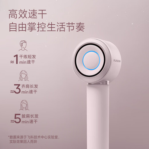 FLYCO hair dryer household high-speed hair dryer high-power negative ion hair care strong wind quick-drying portable student dormitory Qingyin holiday gift for girls FH6371 FH6371 diamond powder plus storage bag
