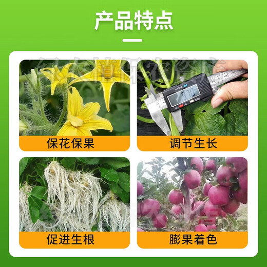 98% ethanol plant growth regulator DA-6 flower and fruit preserving foliar fertilizer pesticide Zheng's Chemical 1000g