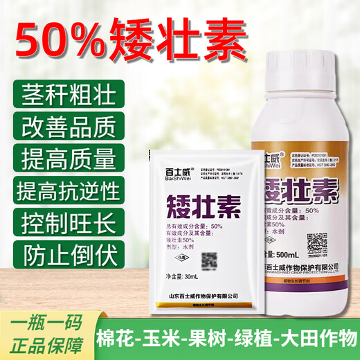 Dwarf dwarf narcissus flower dwarf dwarf dwarf dwarf dwarf dwarf dwarf dwarf dwarf dwarf dwarf dwarf dwarf dwarf dwarf dwarf dwarf dwarf dwarf dwarf dwarf dwarf dwarf dwarf dwarf dwarf dwarf dwarf dwarf dwarf dwarf dwarf dwarf dwarf dwarf dwarf dwarf dwarf dwarf dwarf dwarf dwarf agent 500ml