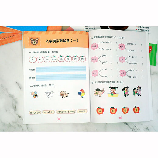 【京仓速发 明日达】幼小衔接冲刺练习-语文297875493**834