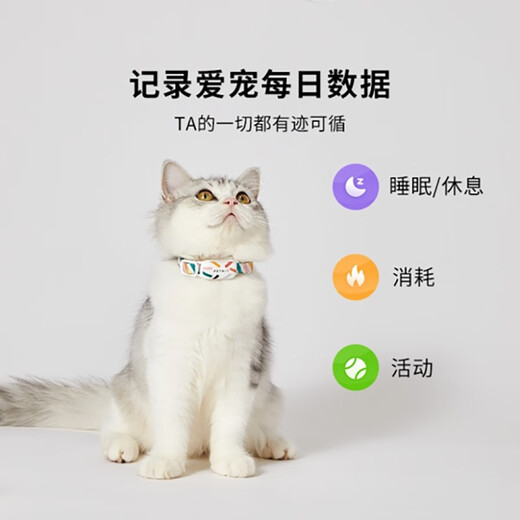 PETKIT Pet Smart Cat Tag Dog Tag Intelligent Motion Detection Wearable Device Bluetooth Collar Dog Tag-M