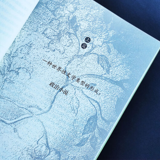 【京仓速发 明日达】晚清政治小说（一种世界性文体的迁移）97871080**967