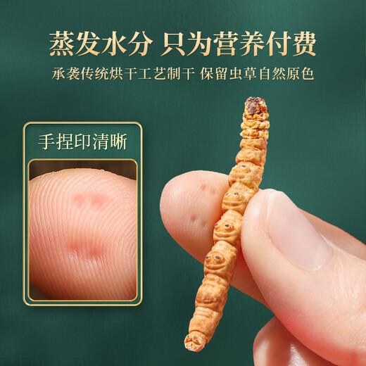 紫蓝花海冬虫夏草 断虫草 精品纯肉节断草 自食高性价比 大号纯肉节20克装【自用实惠】