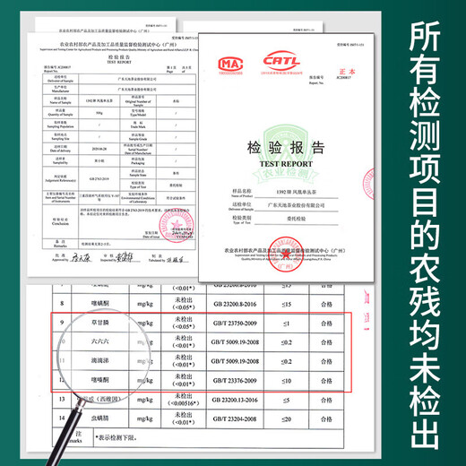 天池茶业1392凤凰单枞茶叶老枞八仙高山有机乌龙茶潮州单丛特级茶叶 老枞八仙 100g*1盒