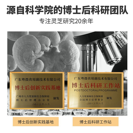 Yuewei Brand Breaking Wall Ganoderma lucidum Spore Powder Extract Capsules for Middle-aged and Elderly Health Products Gifts to Improve Immunity Triterpenes 90 capsules/bottle*1 bottle