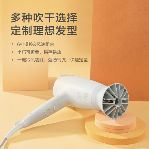 Philips (PHILIPS) hair dryer for home use, high power, constant temperature and quick drying, professional grade hair dryer for hair salons, negative ions + 2100W + 6 levels | Small flower tube white