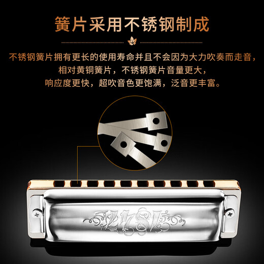 SEYDEL德国进口SEYDEL赛德 十孔10蓝调成人口琴 1847 CLASSIC 10孔LC调