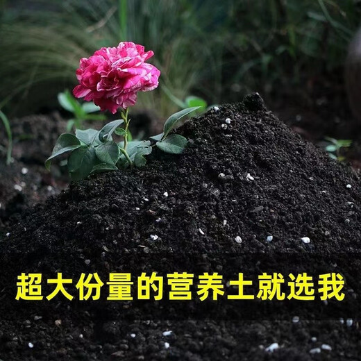 Huameinuo Nutrient Soil is a special universal vegetable potting soil for flower cultivation. Planting soil, flower soil, succulent soil fertilizer, household genuine formula nutrient soil 10Jin Jin is equal to 0.5kg (nourishes roots and promotes flowers)