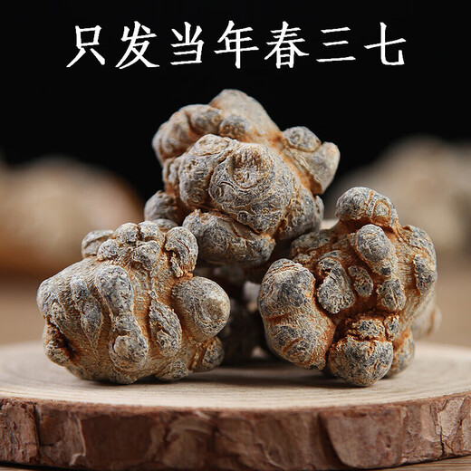 
Xiao Churen [Official Direct] Selected Panax notoginseng Yunnan Wenshan Selected Spring Panax notoginseng Authentic Tianqi Selected 15 heads and 15 without cutseng 500 grams [Medical Effect King]