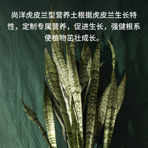 Shangyang Tiger Pilan special nutrient soil 16L gardening vegetable and flower soil planting orchid granular soil organic peat soil