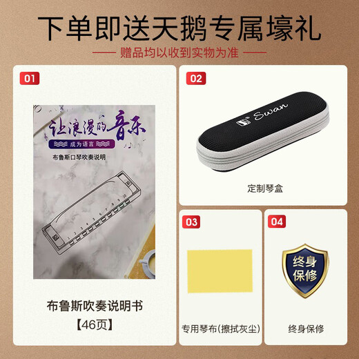 天鹅（SWAN）10孔布鲁斯口琴内嵌式磨砂黑质感盖板初学进阶paddy音