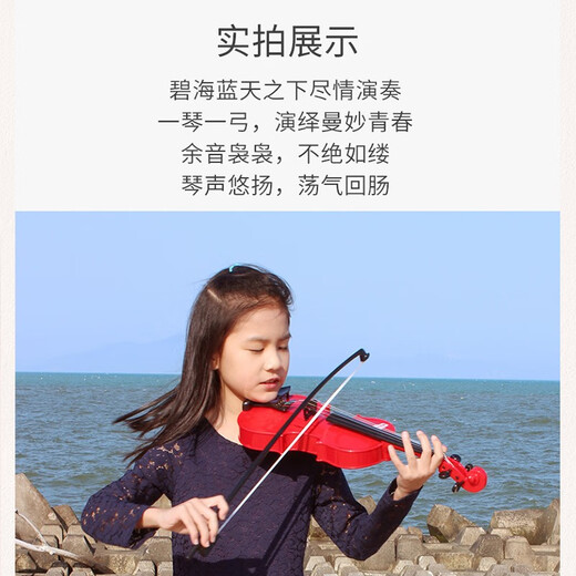 BAOLI Baoli early education musical instrument violin beginner's introduction to enlightenment music enlightenment toys 3-6 years old boys and girls birthday gifts