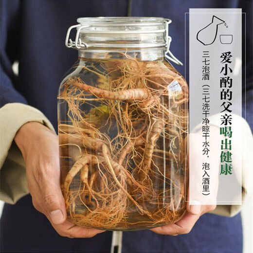 Notoginseng de notoginseng de Panax fresco de Yunnan Wenshan Panax Notoginseng con raíces campos frescos Vino climado 250g 500 g [Selección de cinco años de Notoginseng fresco de Panax] 5 Total 500G