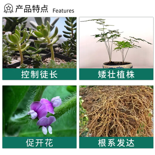 Guoguang Aizhuang 5% uniconazole lawn hedge pepper harvesting old drug control prosperous nine-leaf green growth pesticide regulator 50g