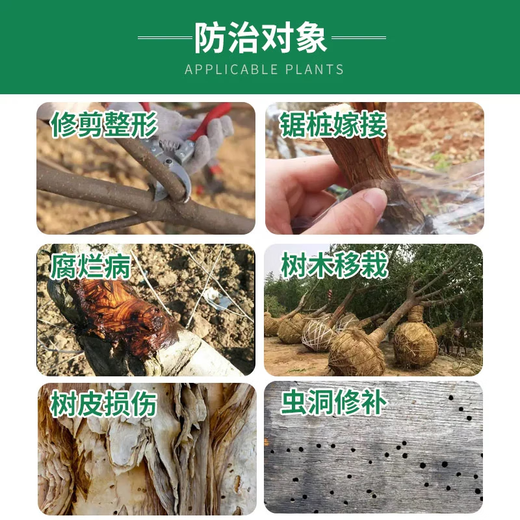 Guoguang Membrane Taida Tree Bonsai Fruit Tree Wound Smear Healing Agent Grafting Rot Healing Sealing Cream 500g