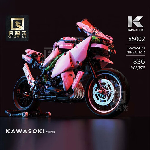 Kaichi Le Kawasaki H2 Motorcycle Assembly and Assembly Bloques de construcción de alta calidad BMW juguetes para automóviles deportivos para niños y niñas Kawasaki H2r Pink Motorcycle 838 partículas