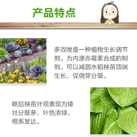 Guoguang 15% paclobutrazol rice seedling field growth control plant growth regulator pesticide 40g