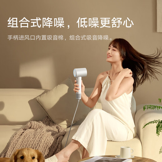 米家【七夕情人节礼物】小米高速吹风机H501 SE家用吹风筒 掌中小旋风 疾速干发大功率负离子护发 白色