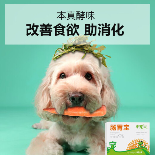 Small pet gastrointestinal treasure dog probiotics pet cat use to regulate the gastrointestinal care and protect the gastrointestinal tract 5g*5 packs/box