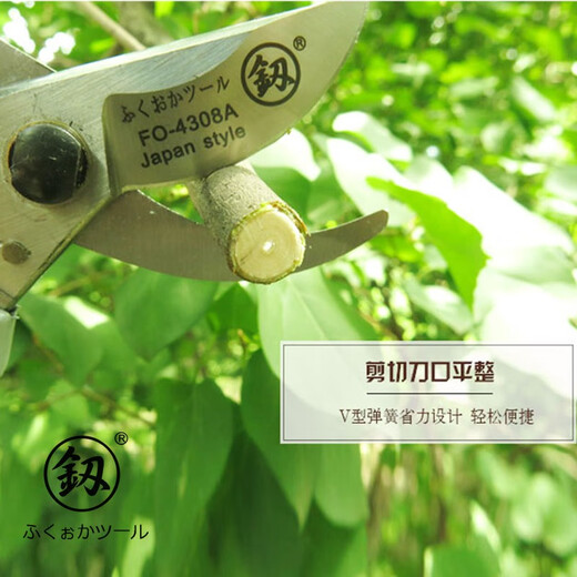 Japan Fukuoka Tools Gardening Scissors Fruit Tree Pruning Scissors Branch Scissors Garden Scissors Flower Scissors Orchard Scissors FO-4308A Seiko Powerful Pruning Scissors 8 inches