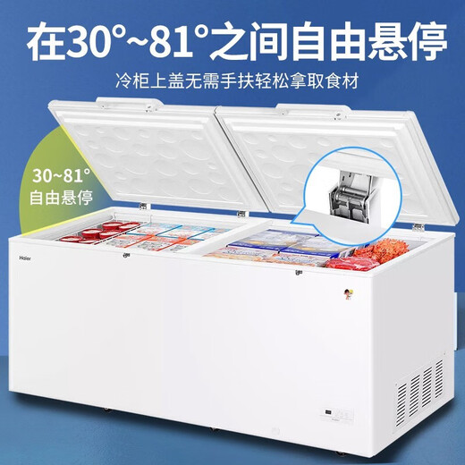 海尔（Haier）冰柜大容量商用双开门冰柜300/500升以上一级能效超低温海鲜速冻全冷冻冷藏茶叶卧式冰箱家用冷柜 829升商用双开门大容量+长2.1米 829L