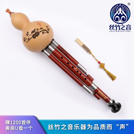 丝竹之音葫芦丝红木管梅花扣专业演奏型云南民族吹奏乐器成人葫芦丝 降B调