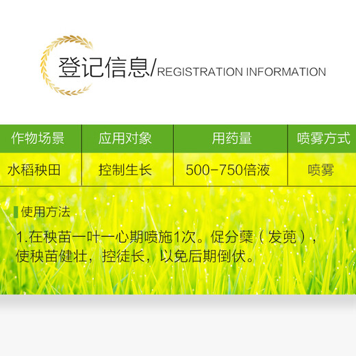 Guoguang 15% paclobutrazol rice seedling field growth control plant growth regulator pesticide 40g