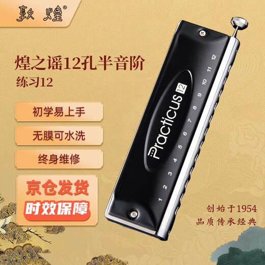 Dunhuang Huangzhi Yao Ejercicio cromático sin membrana de 12 hoyos 12 Recomendación de C-Tune Black C-Tune lavable para principiantes para principiantes