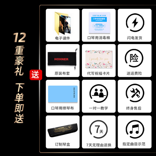 HOHNER和来257半音阶口琴255新手成人学生初学者入门练习 12孔C调255型号半音阶