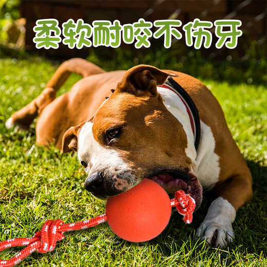 Pochido large elastic ball with rope, dog toy that is resistant to chewing and teeth grinding, self-pleasure and boredom relief artifact, large dog pet ball