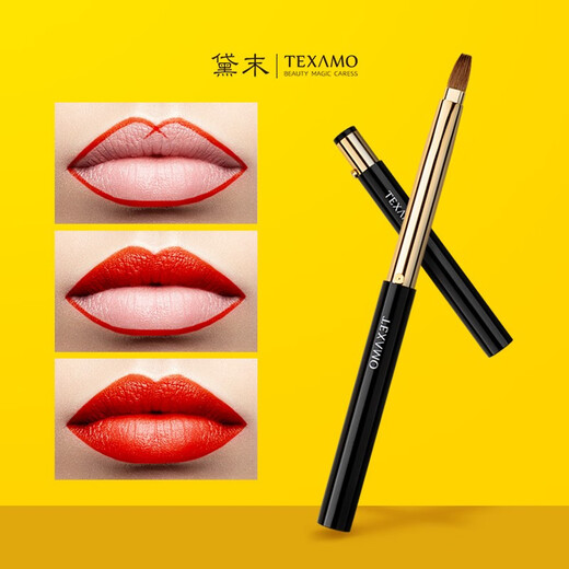 TEXAMO makeup brush can retractable lip brush. Person with concise mink lips makeup brush makeup tool Beauty makeup tools black gold lip brush