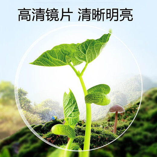 蒙卡洛 高清防蓝光老花镜男 中老年人老花眼镜高档钛合金 十大品牌排行 防蓝光老花200度-898气质黑银