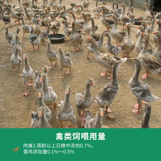 Baking soda powder for livestock and poultry, general purpose for pigs, cattle and sheep, chicken, ducks and geese, sodium bicarbonate powder feed additive 10 bags, baking soda 2Jin Jin is equal to 0.5kg/bag (huge benefit)