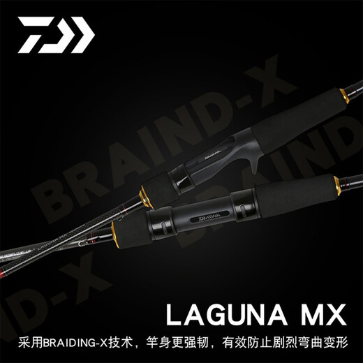 Daiwa Laguna MX Luya Stange Seefischerstange Tintenfisch Barsch Stange Stecker Steckverengstange