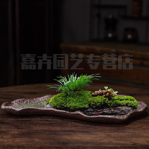 La cuenca de rocas de jiagong agua absorbe la cuenca de piedra de la cuenca de bonsai de los bonsai calamus rockery agua piedra hidropónica de arcilla púrpura de bonsai 2679 cerámica grande