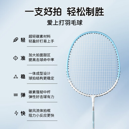 匹克 羽毛球拍对拍耐打成人学生套装训练比赛拍金铠甲 歌鸲蓝/紫色