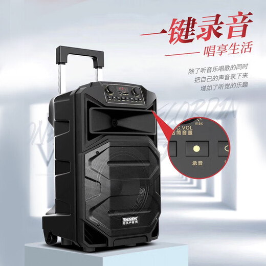TEMEISHENG SL12-31Pro outdoor square dance karaoke audio high-power portable trolley Bluetooth mobile speaker 10-inch standard + 2 wireless microphones + gift bag (gift)