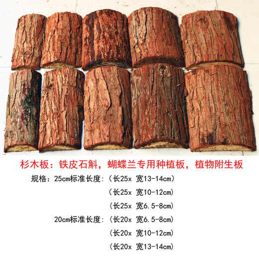 Bark Dendrobium planting material wooden stake snake wooden board hanging tree bark board spider plant special planting board moss tree stump snake wooden board Specifications15252cm 1 piece beat 1